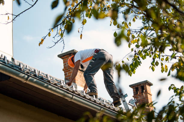 Quick and Trustworthy Emergency Roof Repair Services in Grandwood Park, IL